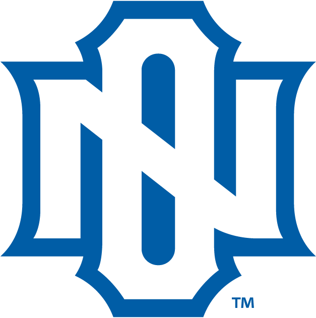 New Orleans Privateers 2013-Pres Alternate Logo v4 diy iron on heat transfer